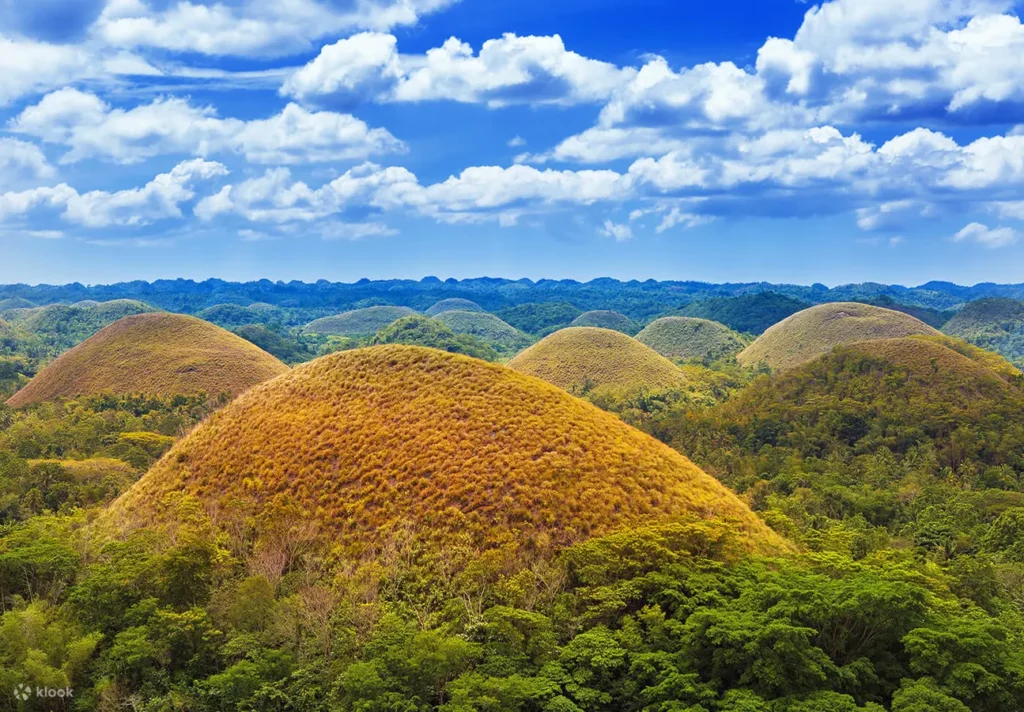 Bohol Tour - Chocolate Hills